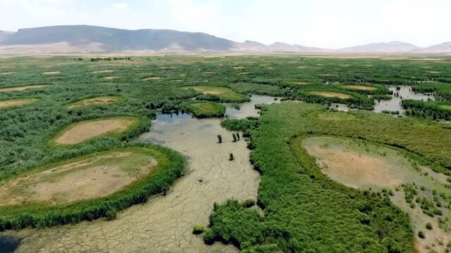 جان دوباره بر تن خشکیده «هشیلان»/بازگشت پرندگان