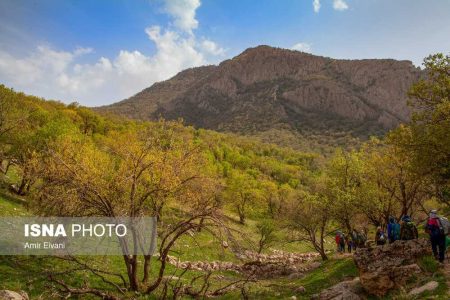 دالاهو، شهر میوه های بهشتی - مولیکس