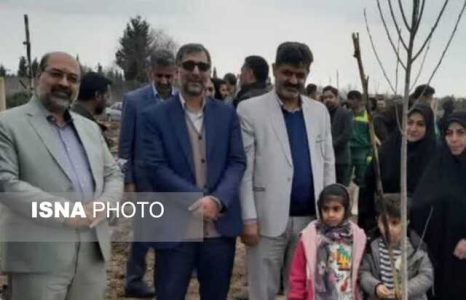 کاشت 118 هزار اصله نهال توسط شهرداری های گلستان