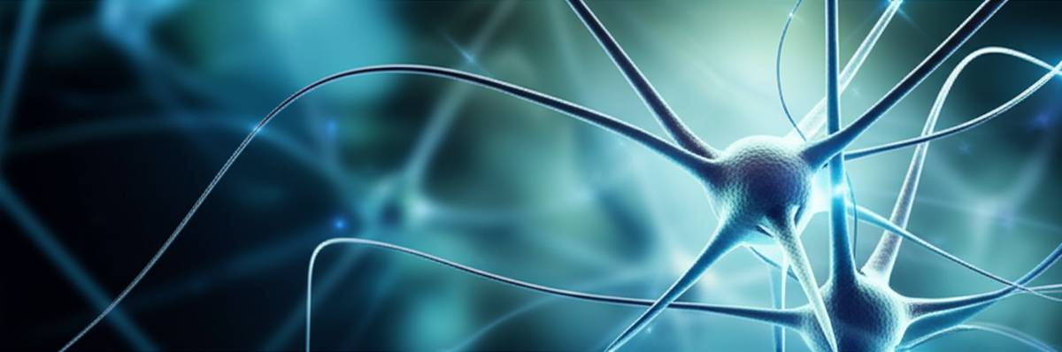 خلاصه کتاب بیش فعالی مریم قربانعلی نژاد | درک و مدیریت ADHD