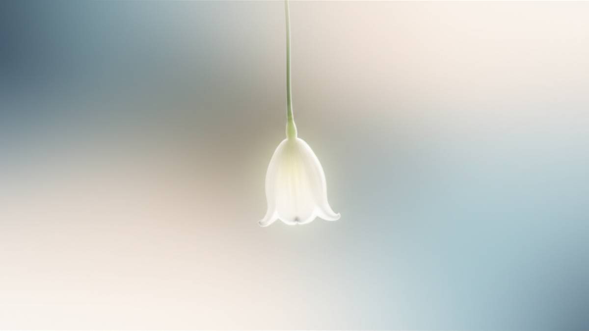 جنین ۳ماهه سقط شده - راهنمای جامع علائم، دلایل و مراقبت ها